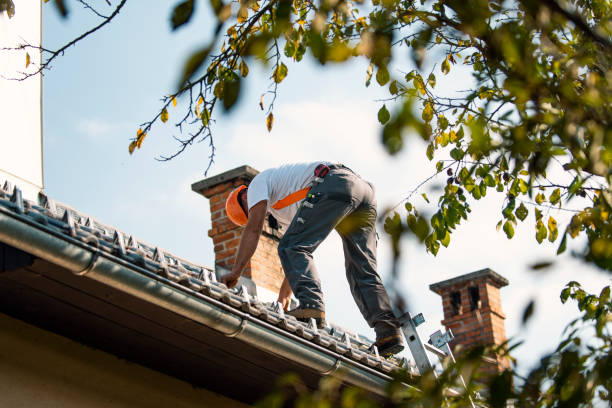 Best Roof Gutter Cleaning  in Waycross, GA