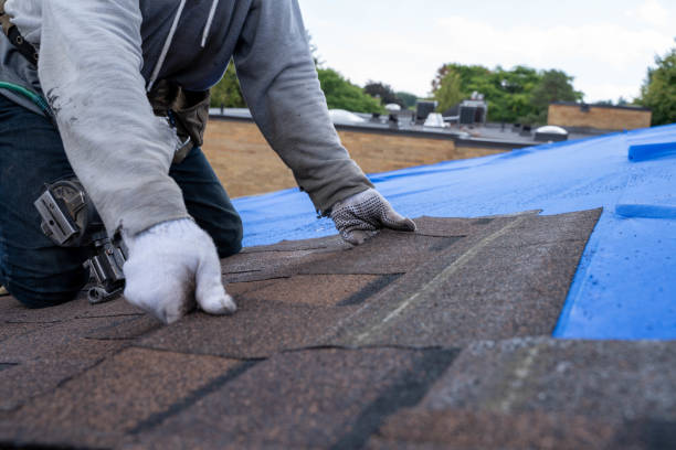 Best Flat Roof Repair Services  in Waycross, GA