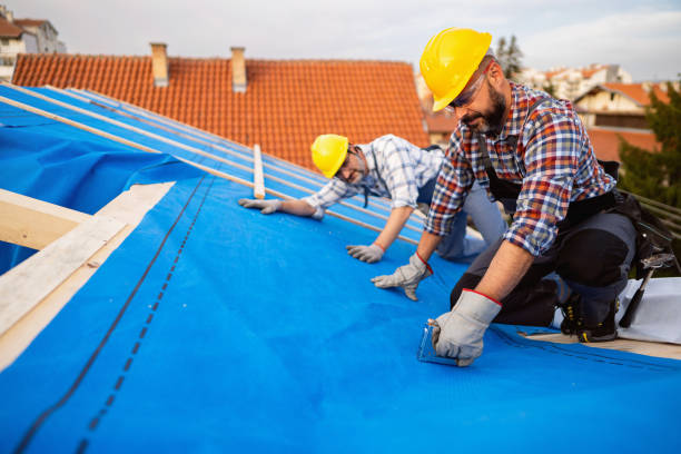 Best Roof Repair Services  in Waycross, GA