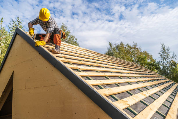 Best Metal Roofing Contractor  in Waycross, GA