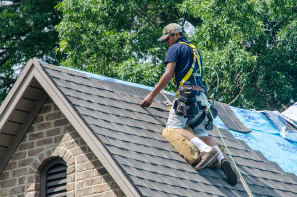 Best New Roof Installation  in Waycross, GA